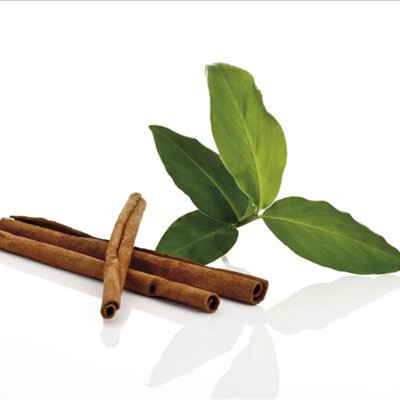 Cinnamon E Juice Flavor