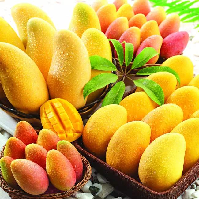 Best Mango E Juice Flavoring 